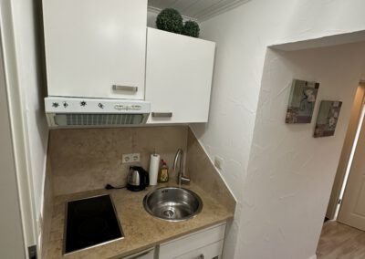 Wohnung 1